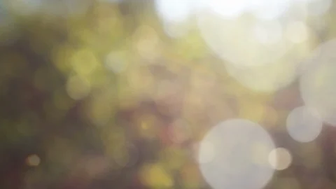 Abstract spring background with bokeh Stock Footage 106544918