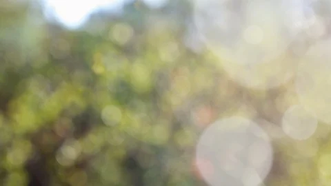 Abstract spring background with bokeh Stock Footage 106546060