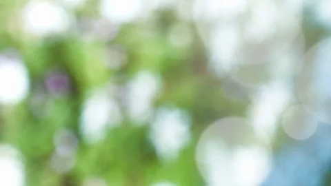 Abstract spring background with bokeh Stock Footage 106546174