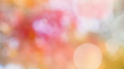 Abstract spring background with bokeh Stock Footage 106547603