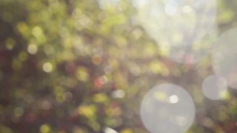 Abstract spring background with bokeh Stock Footage 107292677