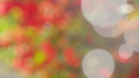 Abstract spring background with bokeh Stock Footage 107292741