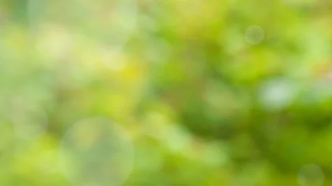 Abstract spring background with bokeh Stock Footage 115226470