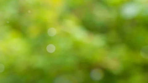 Abstract spring background with bokeh Stock Footage 115226531