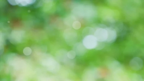 Abstract spring background with bokeh Stock Footage 115229636
