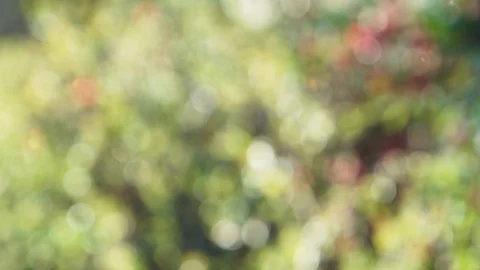 Abstract spring background with bokeh Stock Footage 115232354