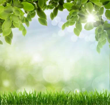 Abstract spring background Stock Illustration