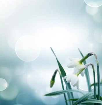 Abstract spring background Stock Illustration