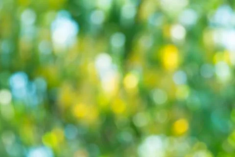 Abstract spring defocused background Stock Photos