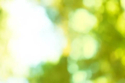 Abstract spring defocused background Stock Photos