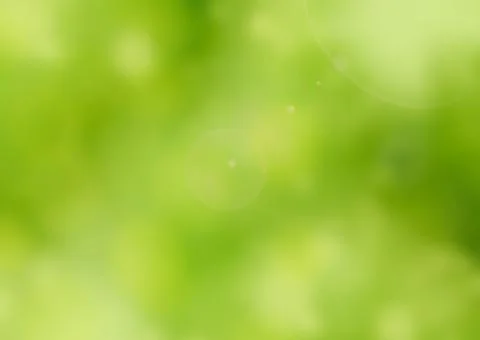 Abstract spring green bokeh backdrop. Stock Photos