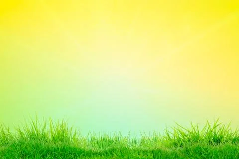 Abstract spring or summer backgrounds with grass Stock Illustration