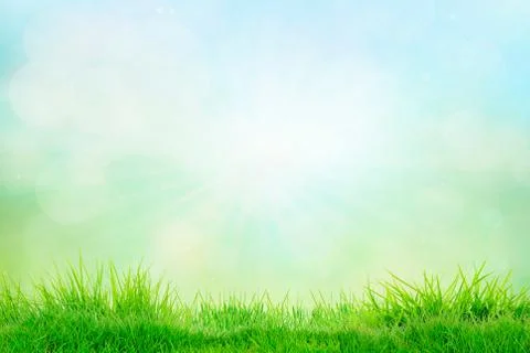 Abstract spring or summer backgrounds with grass Stock Illustration