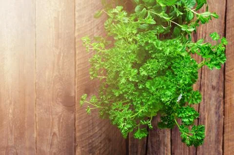 Abstract spring or summer concept. Organic herbs (melissa, mint, thyme, basil Stock Photos