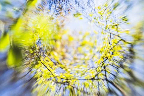 Abstract spring tree background Stock Photos