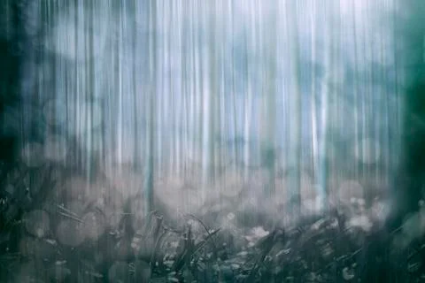 Abstract springtime forest background Foto stock