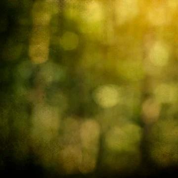 Abstract springtime green background with glitter bokeh lights Stock Photos