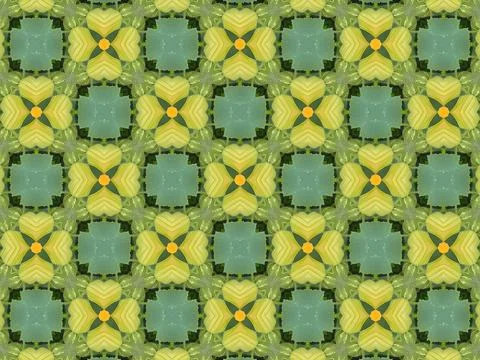 Abstract Square Kaleidoscope Pattern with Floral Heart Shapes 스톡 일러스트