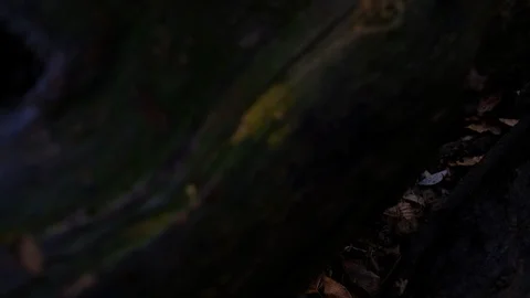 Abstract Stacked Log Transition #2 (4k) Stock Footage 121750439