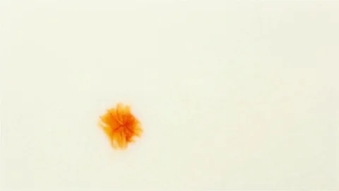 Abstract stain of red ink on the white background Stockbeeldmateriaal 79073074