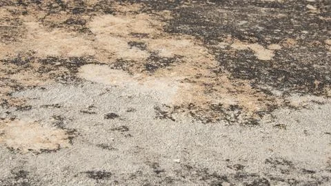 Abstract stain texture on the wall Stock Photos
