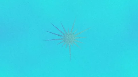 An abstract star burst shape motion graphic background design element. Stock Footage 296714108