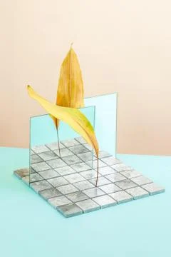 Abstract still life using a mirror, natural stone and dry leaves. Stock Photos