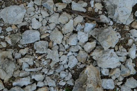 Abstract stone background in the forest 库存照片