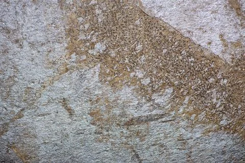 Abstract stone background. The texture of the stone wall. Close-up. Light gra Stock Photos