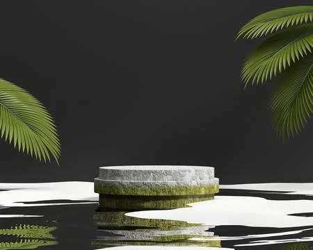 Abstract stone platform podium showcase for product display with palm leave.. Stock Illustration