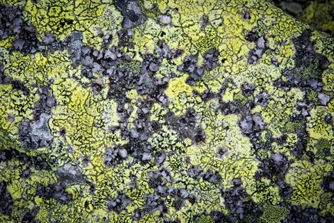 Abstract stone surface Foto stock