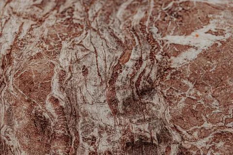 Abstract stone texture three color, white and burgundy and brown Stock Photos
