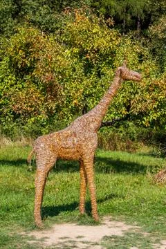 Abstract straw giraffe Stock Photos