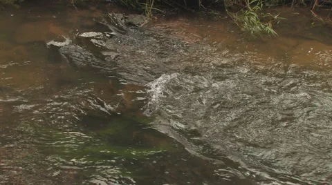 Abstract streamlines of water on a river Stock Footage 881718