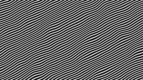 Abstract striped lines background waving black and white lines loop animation Stock Footage 282216272
