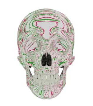 Abstract striped skull Stock Illustration