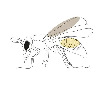 Abstract Striped Wasp Continuous One Line Drawing Stock Illustration