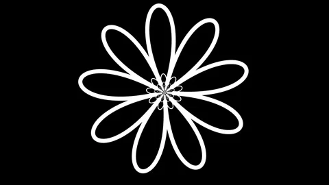 Abstract stroke petals Stock Footage 243062040
