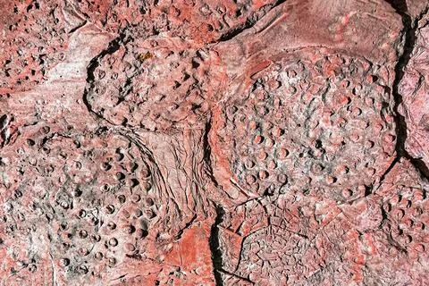 Abstract structure stone background. Plant texture. Banner. Foto stock