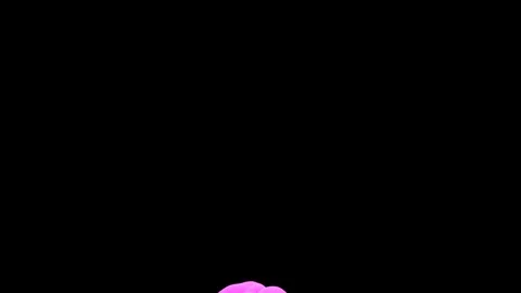 Abstract stylized Magenta ink drop in water on a black background V7 Stock Footage 87565374