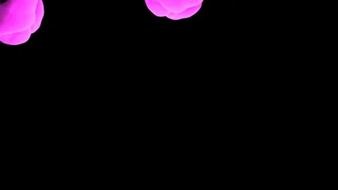 Abstract stylized Magenta ink drop in water on a black background V11 Stock Footage 87565402