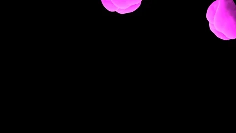 Abstract stylized Magenta ink drop in water on a black background V13 Stock Footage 87565403