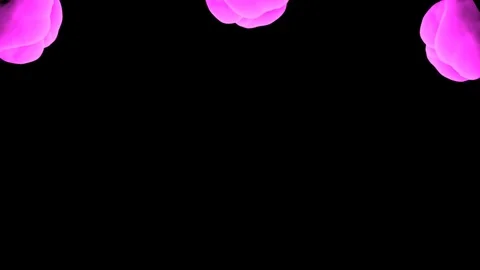 Abstract stylized Magenta ink drop in water on a black background V22 Stock Footage 87601269