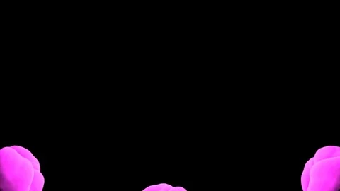 Abstract stylized Magenta ink drop in water on a black background V23 Stock Footage 87601290