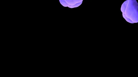 Abstract stylized Purple ink drop in water on a black background V13 Stock Footage 87565187