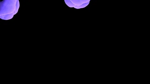 Abstract stylized Purple ink drop in water on a black background V11 Stock Footage 87565191