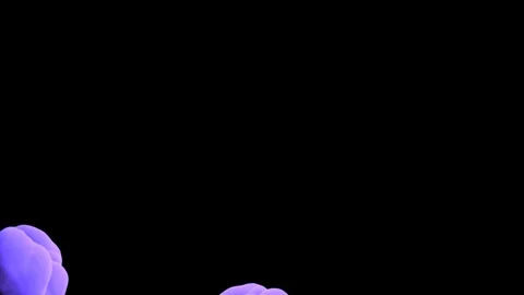 Abstract stylized Purple ink drop in water on a black background V19 Video stock 87565210