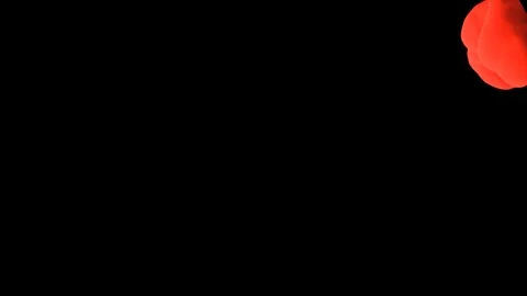 Abstract stylized Red ink drop in water on a black background V4 Stock Footage 87568752