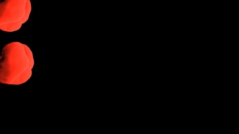 Abstract stylized Red ink drop in water on a black background V9 Stock Footage 87568761