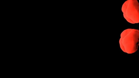 Abstract stylized Red ink drop in water on a black background V14 Stock Footage 87568784